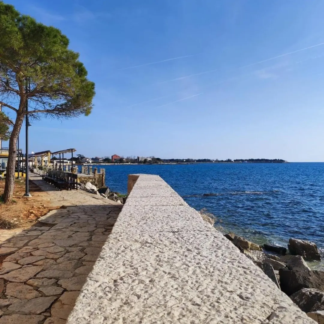 Adriatic Stone House Hunic Διαμέρισμα Ουμάγκ